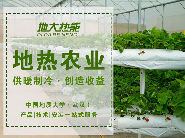 地熱農業助力溫室大棚創造收益-地大熱能 地熱農業助力溫室大棚創造收益-地大熱能