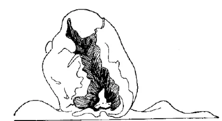 盤點各類地質(zhì)地貌類型-地熱資源開發(fā)-地大熱能