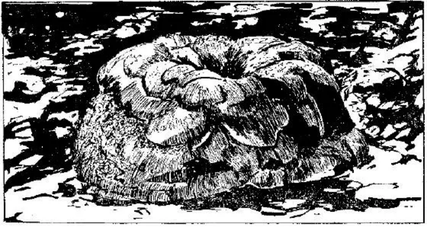 盤點各類地質(zhì)地貌類型-地熱資源開發(fā)-地大熱能