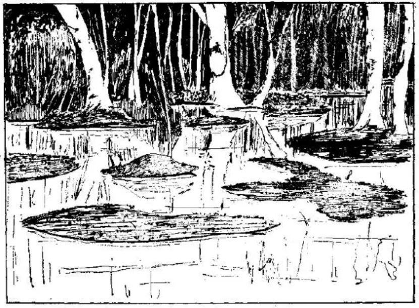 盤點各類地質(zhì)地貌類型-地熱資源開發(fā)-地大熱能